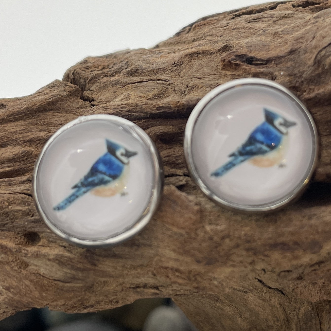 Glass cabochon studs - Animals and Plants